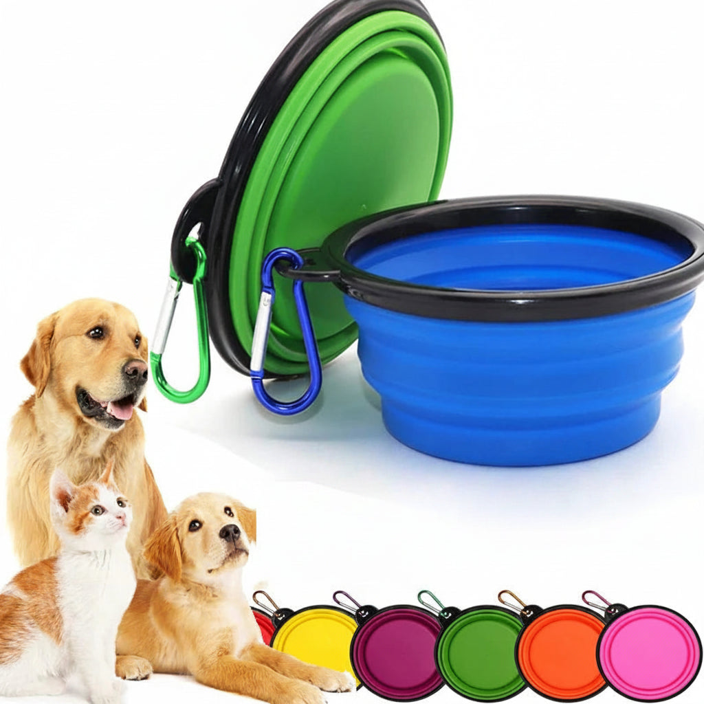 Collapsible pet water bowl with carabiner, dog, and cat.